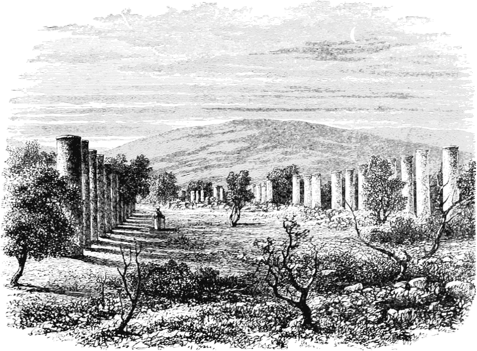 Ruins of a Temple