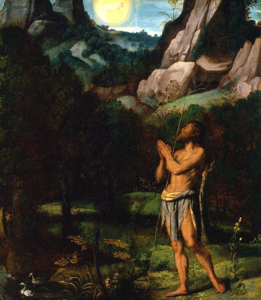 053 John the Baptist in the Wilderness (Brescia 1535)