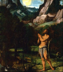 053 John the Baptist in the Wilderness (Brescia 1535)