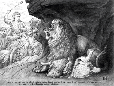 12 Isaiah 31 v04 The Lord, as a Lion, will not be afraid of many shepherds