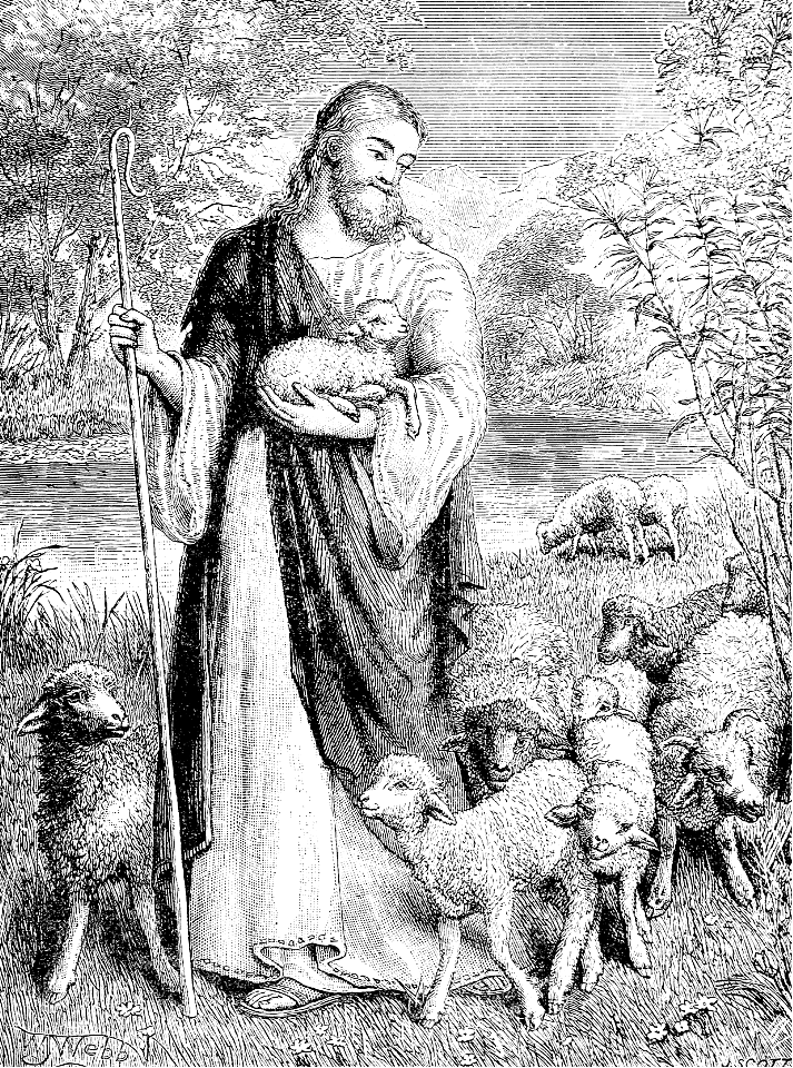 24 The Good Shepherd and the Lambs