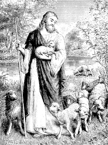 24 The Good Shepherd and the Lambs. Free illustration for personal and commercial use.