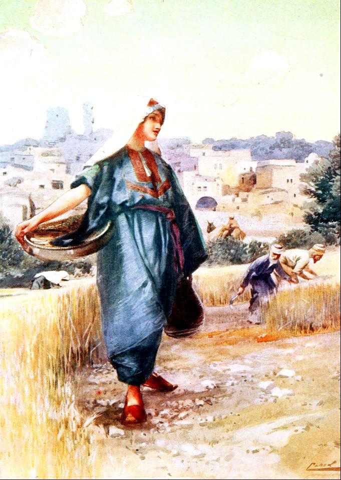 04 Barley Harvest - Ruth gleaning (Ruth 02 v02)