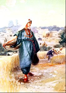 04 Barley Harvest - Ruth gleaning (Ruth 02 v02)