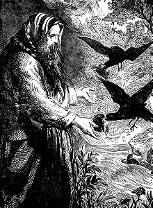 20 Elijah fed by Ravens in the Wilderness. Free illustration for personal and commercial use.