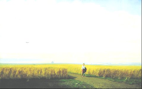 Steppe. Cornfield - Arkhip Kuindzhi