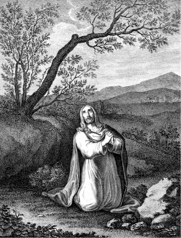 13 Luke 05 v16 When His fame increases, Jesus withdraws into the Wilderness and prays