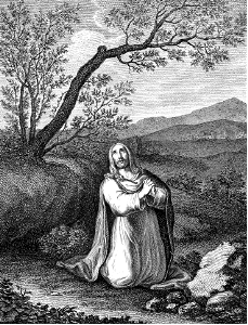 13 Luke 05 v16 When His fame increases, Jesus withdraws into the Wilderness and prays. Free illustration for personal and commercial use.
