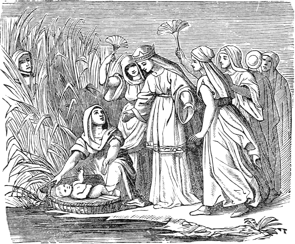 13 Baby Moses found in a Basket in the River