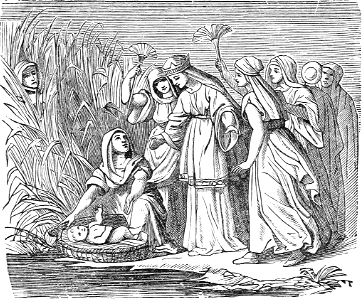 13 Baby Moses found in a Basket in the River