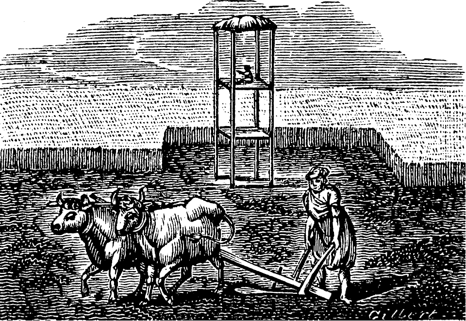 Ploughing in the East