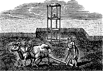 Ploughing in the East