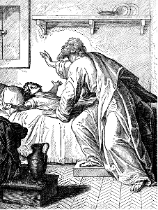 090 1 Kings 17 v21 Elijah raises up the Widows Son