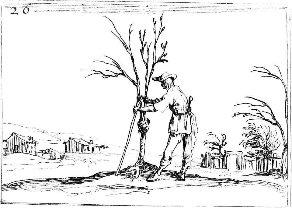 Propping up the weak branches