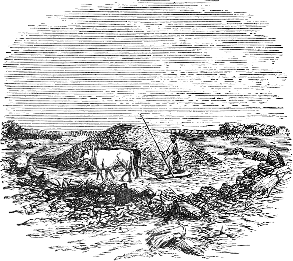 Threshing Floor