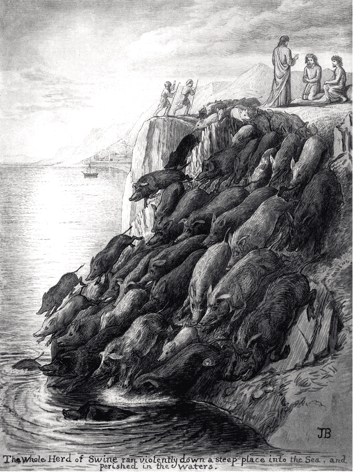 NT02 Matthew 08 v32 The whole herd of Swine ran violently down a steep place
