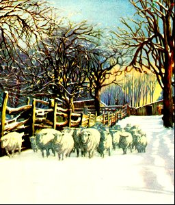 11 Sheep in Winter Scene (color). Free illustration for personal and commercial use.
