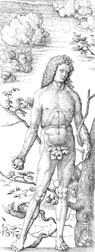 022 Adam (Hopfer I 1515)