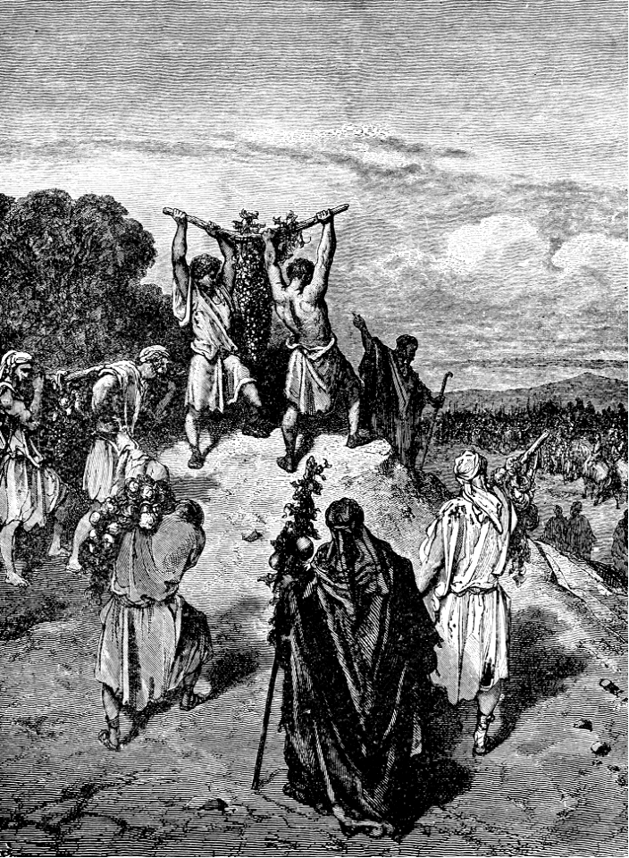 13 Numbers 13 - The Spies return with fruit from the land of Canaan