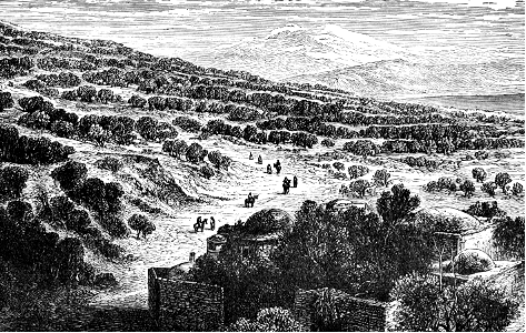 Hills near Gennesareth
