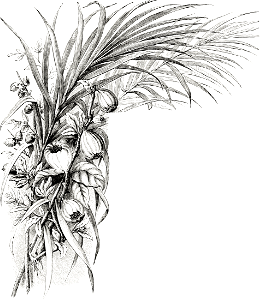 Figs and Palms of Palestine