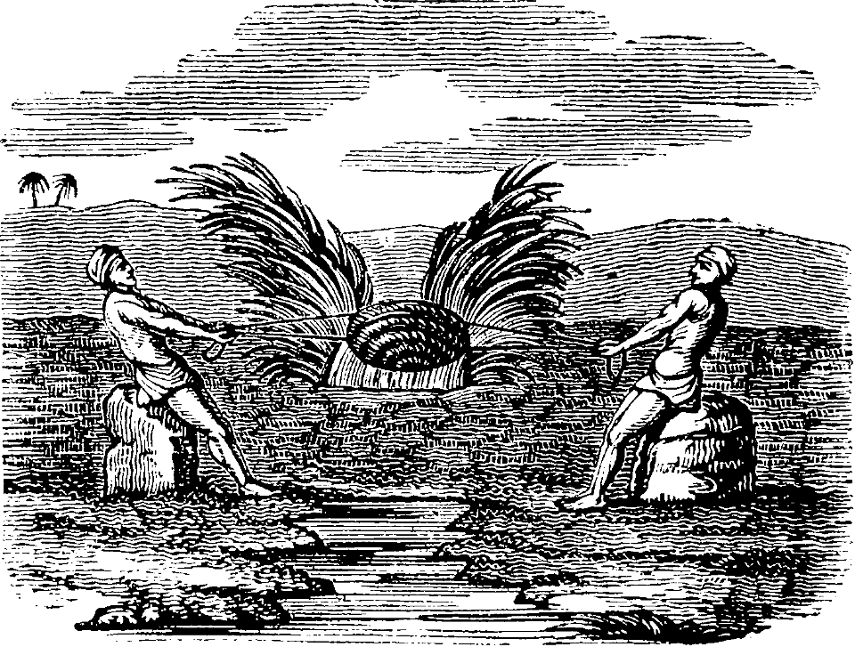 Raising Water from the Nile
