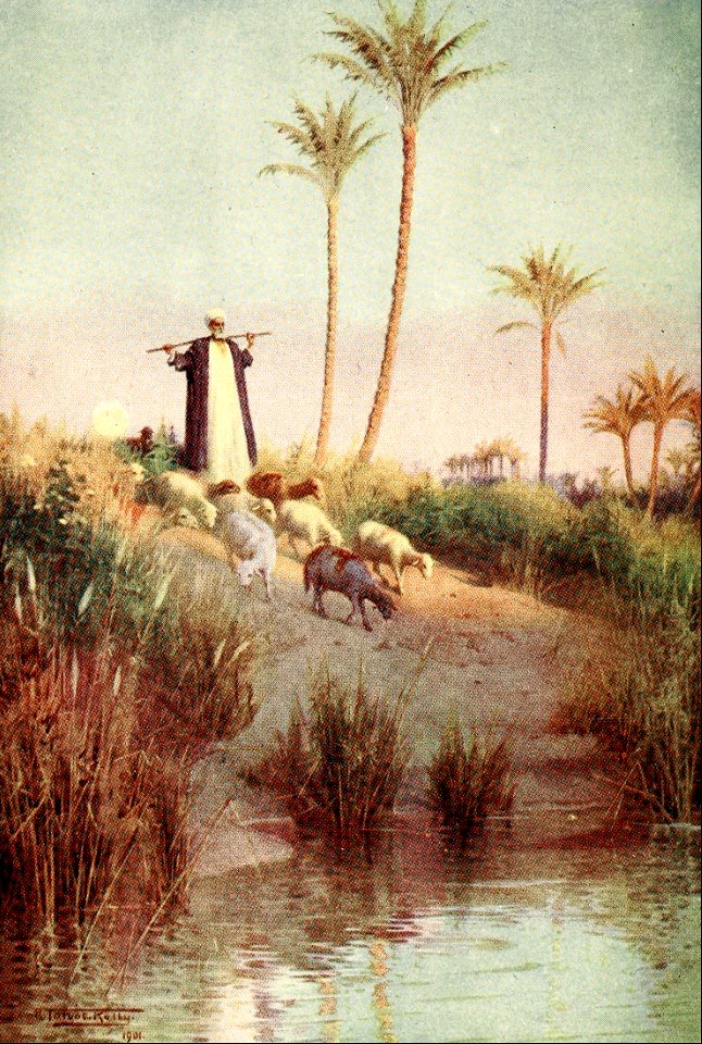 12 Psalm 23 He leads me beside still waters