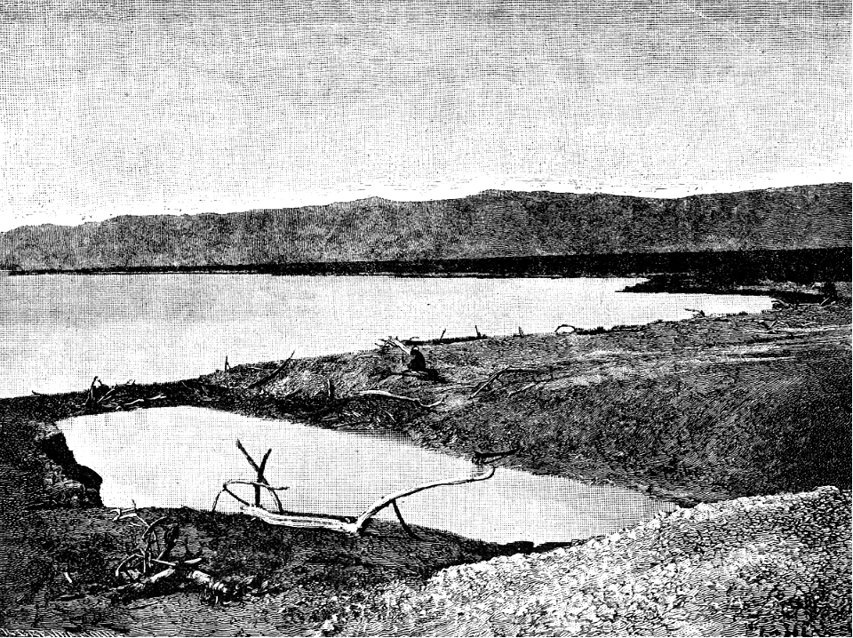 The Dead Sea