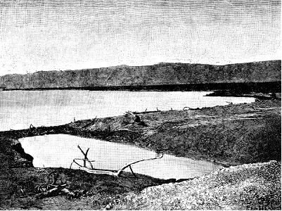 The Dead Sea