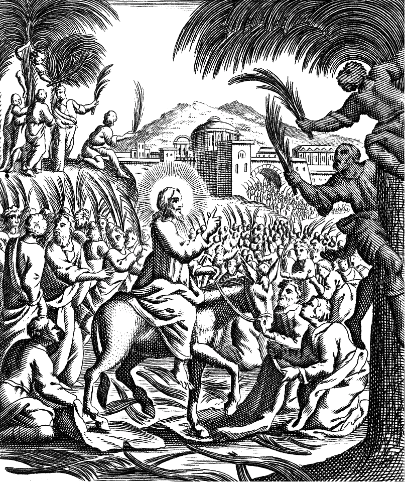 17 Matthew 21 v08 The Triumphal Entry