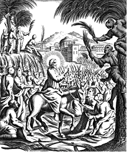 17 Matthew 21 v08 The Triumphal Entry
