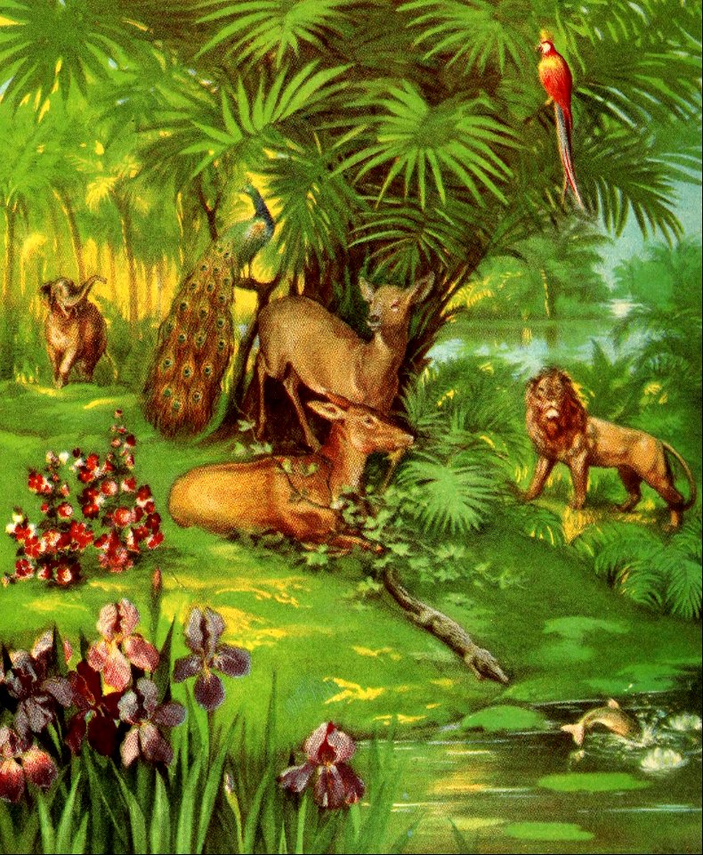 03 Genesis 01 v20-25 God creates the Animals