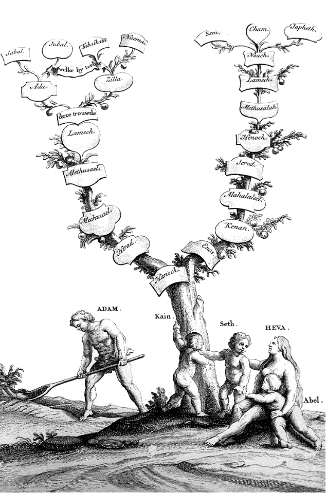 12 Genesis 05 Genealogical Tree (Schenck)