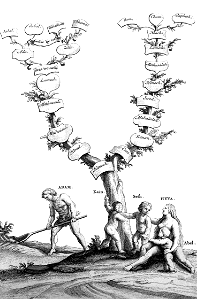 12 Genesis 05 Genealogical Tree (Schenck)
