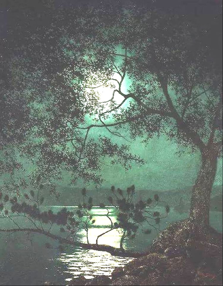 Fallen pine at Hague, Lake George - Harry Willson Watrous