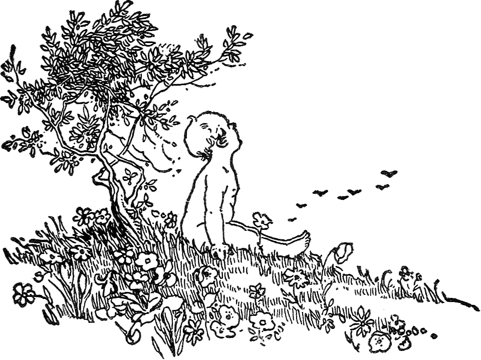 Baby sitting in Field of Flowers