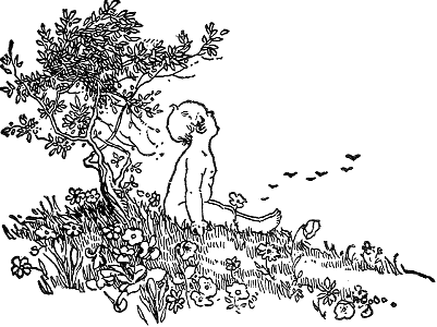 Baby sitting in Field of Flowers