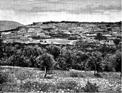 Cana in Galilee
