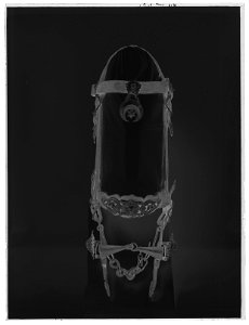 Huvudlag - Livrustkammaren - 60103-negative