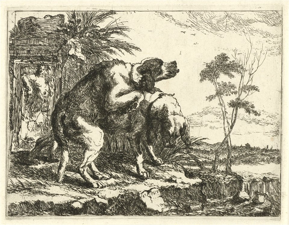 Jan Fyt - Two mating dogs