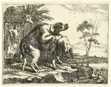 Jan Fyt - Two mating dogs
