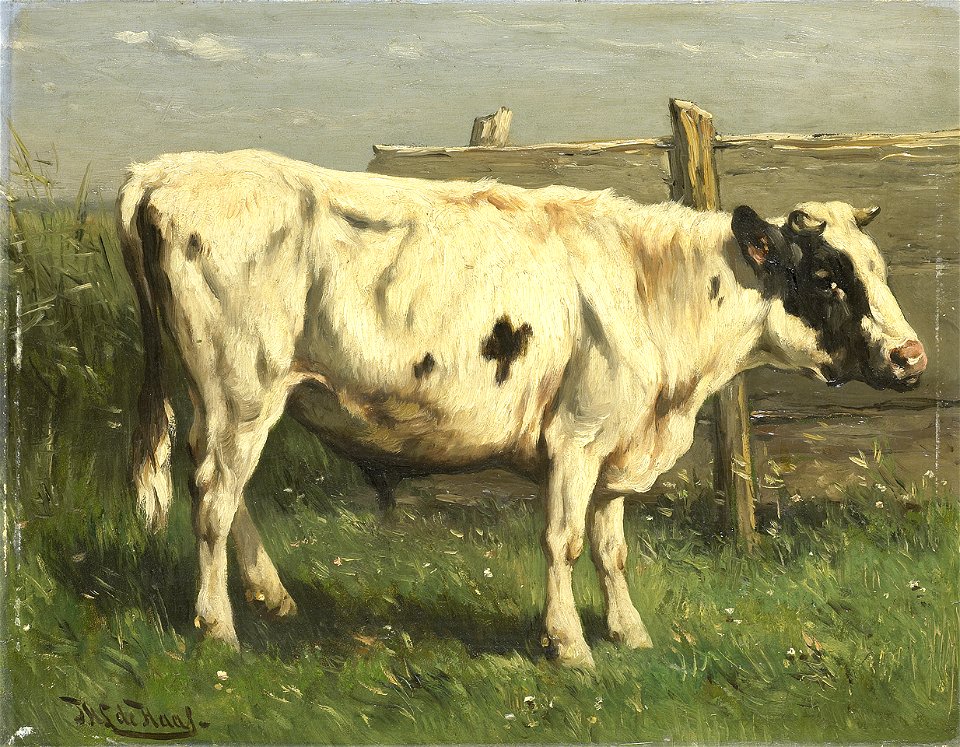 Johannes Hubertus Leonardus de Haas - Jonge stier