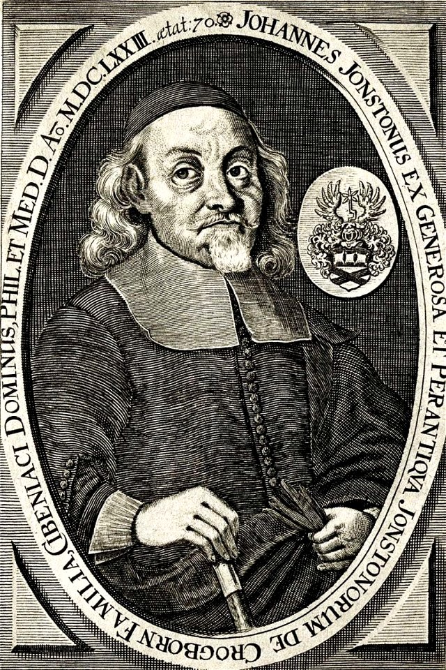 Johannes Jonstonus Polonus