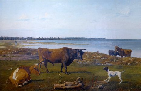 Kalundborg Museum - Strandbillede med kvæg