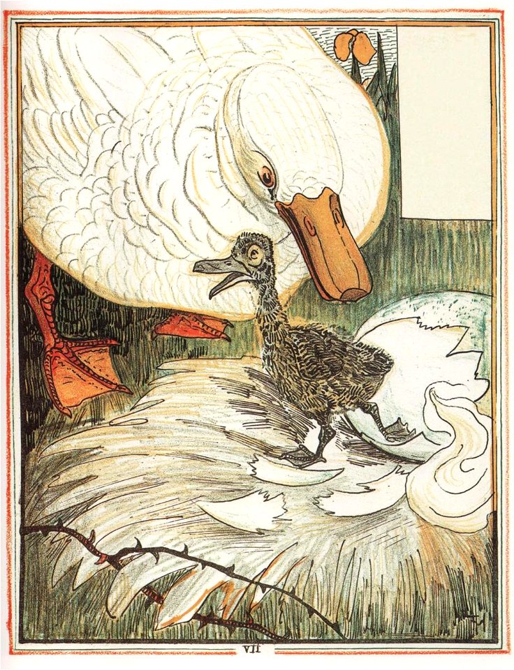 Le-vilain-petit-canard-8-525b2535