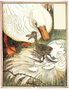 Le-vilain-petit-canard-8-525b2535