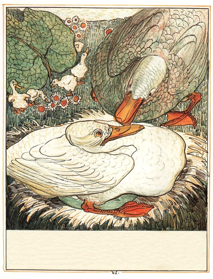 Le-vilain-petit-canard-7-525b24fc