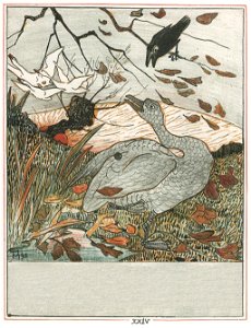 Le-vilain-petit-canard-25-525bb877