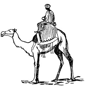 Lear 3 - Camel