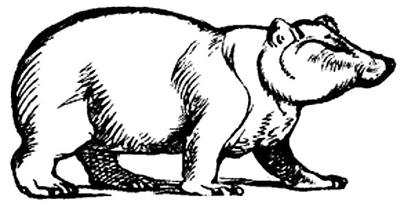 Lear 2 - Bear